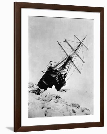 Ernest Shackleton's Expedition Ship Endurance Trapped in Ice-null-Framed Photographic Print