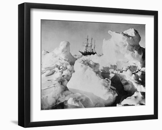 Ernest Shackleton's Ship Endurance Trapped in Ice-Bettmann-Framed Premium Photographic Print