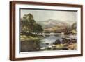 Brown Frame