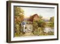 Brown Frame