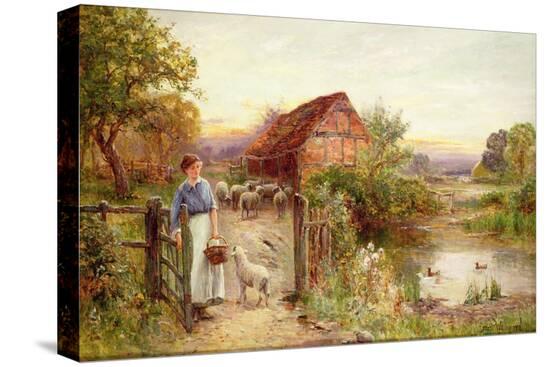 Stretched Canvas Print, , large