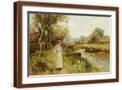 Brown Frame
