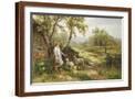 Brown Frame