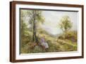 Brown Frame