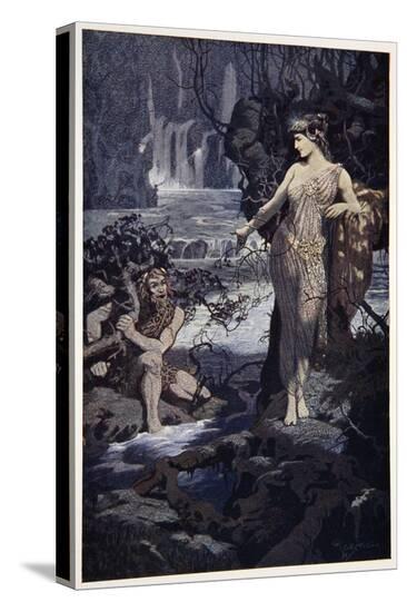 Stretched Canvas Print, , large