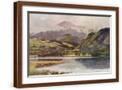 Brown Frame