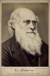 Charles Darwin, British Naturalist, C1860S-C1870S-Ernst Hader-Laminated Giclee Print