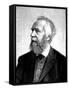 Ernst Haeckel (1834-191), German Zoologist and Evolutionist-null-Framed Stretched Canvas