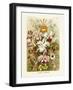 ERNST HAECKEL ART - 19Th Century - Orchideae - Orchids-The Nature Notes-Framed Photographic Print