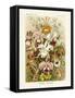 ERNST HAECKEL ART - 19Th Century - Orchideae - Orchids-The Nature Notes-Framed Stretched Canvas