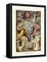 ERNST HAECKEL Art19Th CenturyActiniae.-The Nature Notes-Framed Stretched Canvas