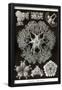 Essential Black
