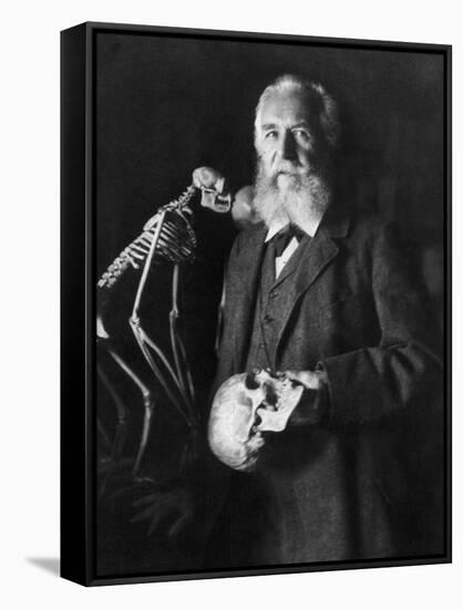 Ernst Haeckel, German Biologist-Science Source-Framed Stretched Canvas