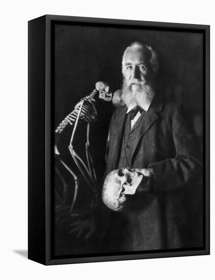 Ernst Haeckel, German Biologist-Science Source-Framed Stretched Canvas