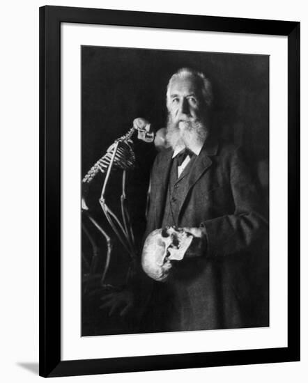 Ernst Haeckel, German Biologist-Science Source-Framed Giclee Print