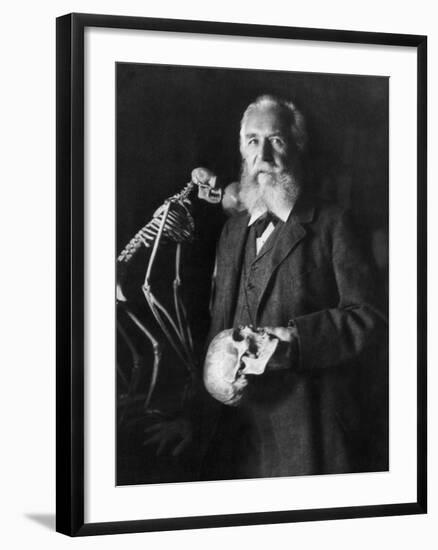 Ernst Haeckel, German Biologist-Science Source-Framed Giclee Print