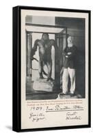 Ernst Haeckel German Scientist with a Gorilla in 1909-null-Framed Stretched Canvas