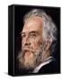 Ernst Haeckel, German Zoologist and Evolutionist, 1899-null-Framed Stretched Canvas