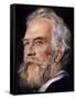 Ernst Haeckel, German Zoologist and Evolutionist, 1899-null-Framed Stretched Canvas