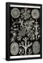 Essential Black