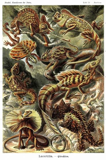 Premium Giclee Print, , large