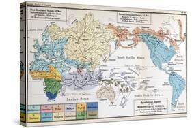 Ernst Haeckel Map Lemuria Human Origins-Paul Stewart-Stretched Canvas