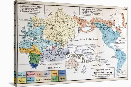 Ernst Haeckel Map Lemuria Human Origins-Paul Stewart-Stretched Canvas