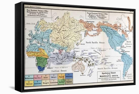 Ernst Haeckel Map Lemuria Human Origins-Paul Stewart-Framed Stretched Canvas