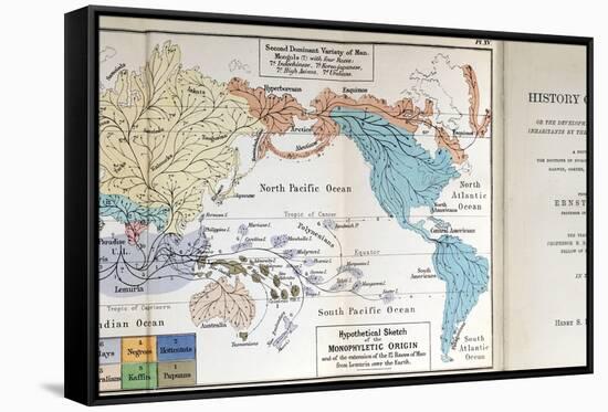 Ernst Haeckel Map Lemuria Human Origins-Paul Stewart-Framed Stretched Canvas