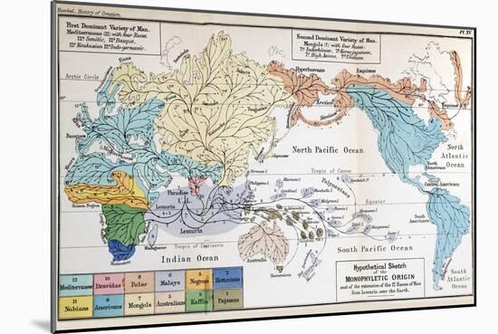 Ernst Haeckel Map Lemuria Human Origins-Paul Stewart-Mounted Photographic Print