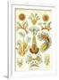 Gramercy White