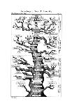 Paleontological Tree of Vertebrates, 1910-Ernst Heinrich Philipp August Haeckel-Framed Giclee Print