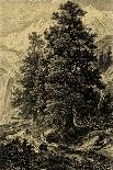 Sepia Wild Pine-Ernst Heyn-Art Print