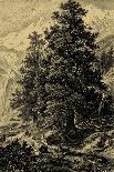 Sepia Wild Pine-Ernst Heyn-Art Print