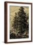 Brown Frame