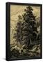 Essential Black