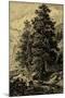Wood Mount