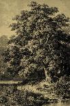 Oak Tree-Ernst Heyn-Art Print