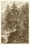 Oak Tree-Ernst Heyn-Art Print