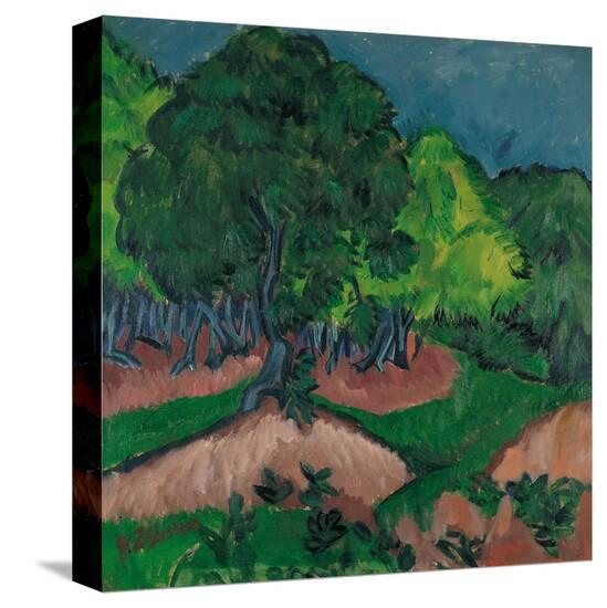 Stretched Canvas Print, , large