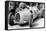 Ernst Von Delius in Auto Union Car, 1936-null-Framed Stretched Canvas