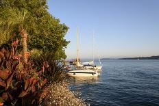 Lake with Castle Church at Sundown, Friedrichshafen, Lake of Constance, Baden-Wurttemberg, Germany-Ernst Wrba-Photographic Print