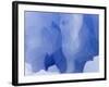 Eroded Blue Iceberg Floating at South Georgia Island-John Eastcott & Yva Momatiuk-Framed Photographic Print