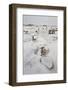 Eroded Boulders at the Egg Factory with Fresh Snow-James Hager-Framed Photographic Print