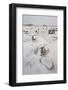 Eroded Boulders at the Egg Factory with Fresh Snow-James Hager-Framed Photographic Print