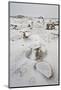 Eroded Boulders at the Egg Factory with Fresh Snow-James Hager-Mounted Photographic Print