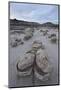 Eroded Boulders at the Egg Factory-James Hager-Mounted Photographic Print