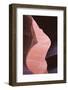 Eroded Curves in Sandstone-Jean Brooks-Framed Photographic Print