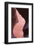 Eroded Curves in Sandstone-Jean Brooks-Framed Photographic Print