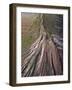 Eroded landscape on Volcano Montana de Soo, Canary Islands-Juan Carlos Munoz-Framed Photographic Print